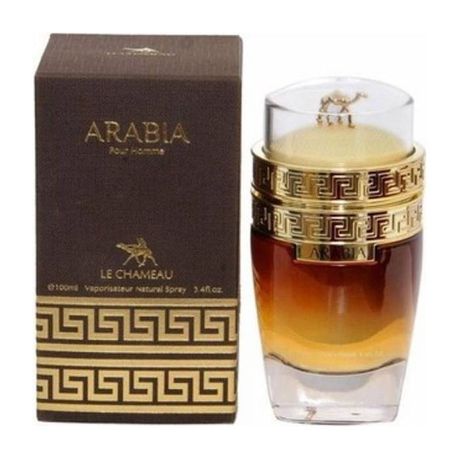 Arabia Pour Homme - Dubai perfumes SA