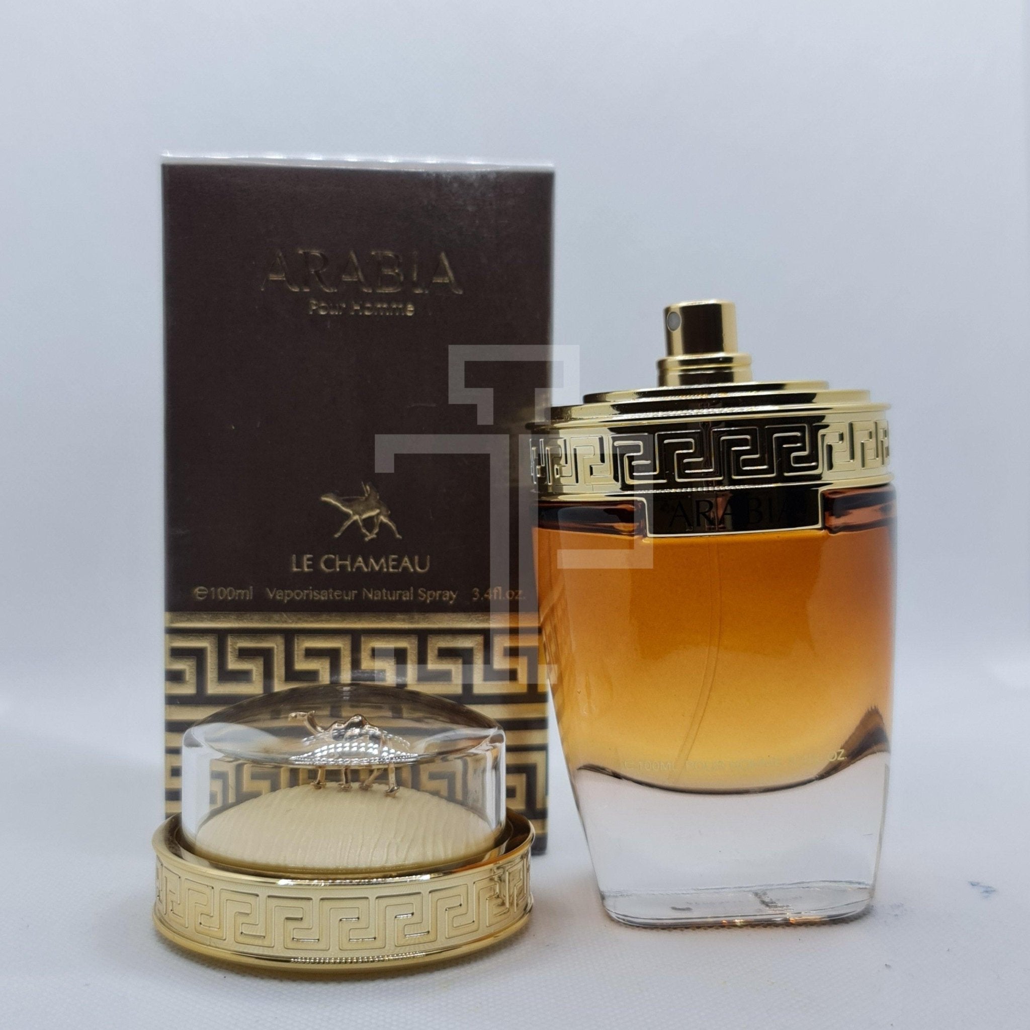 Arabia Pour Homme – Dubai perfumes SA